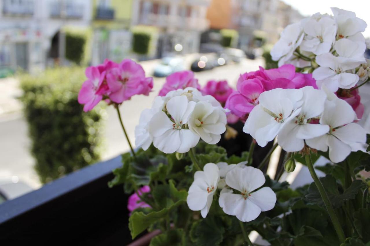 Wisarelax Bed & Breakfast Brusciano Екстериор снимка